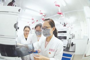 漳州 傳統產業上建起 創新矩陣