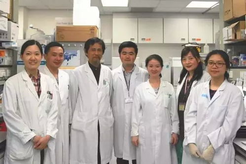 香港理事會皮膚科報告 如何用 齒輪療法 去治愈濕疹,不復發