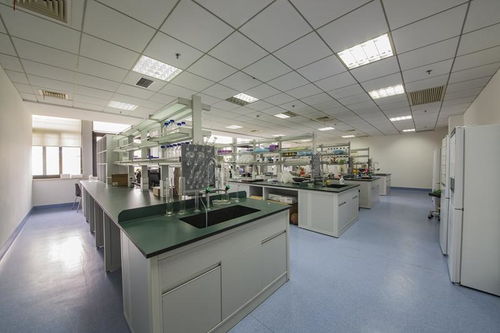 附屬第一人民醫院臨床轉化研究院銀屑病干細胞治療研究入圍科技部新一批重點研發計劃