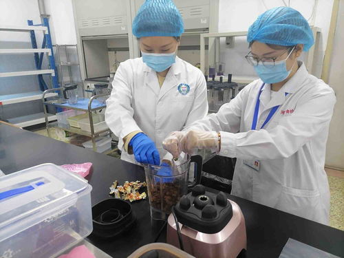 河南省食品檢驗研究院實驗室開放日 見證食安檢驗衛士如何守護百姓餐桌安全