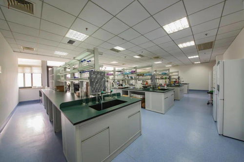 市一醫(yī)院臨床轉(zhuǎn)化研究院銀屑病干細(xì)胞治療研究入圍科技部新一批重點(diǎn)研發(fā)計(jì)劃