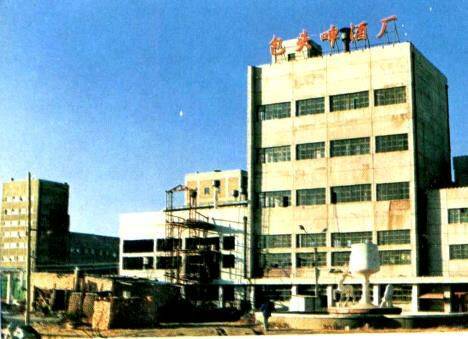 包頭人你還記得20多年前阿爾丁廣場的球形噴泉嗎 這些照片帶你回憶包頭那些沒改造前的老建筑....