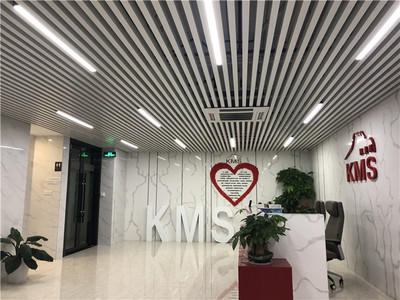 凱美斯脂肪刀 專業(yè)祛斑，放心塑造美麗